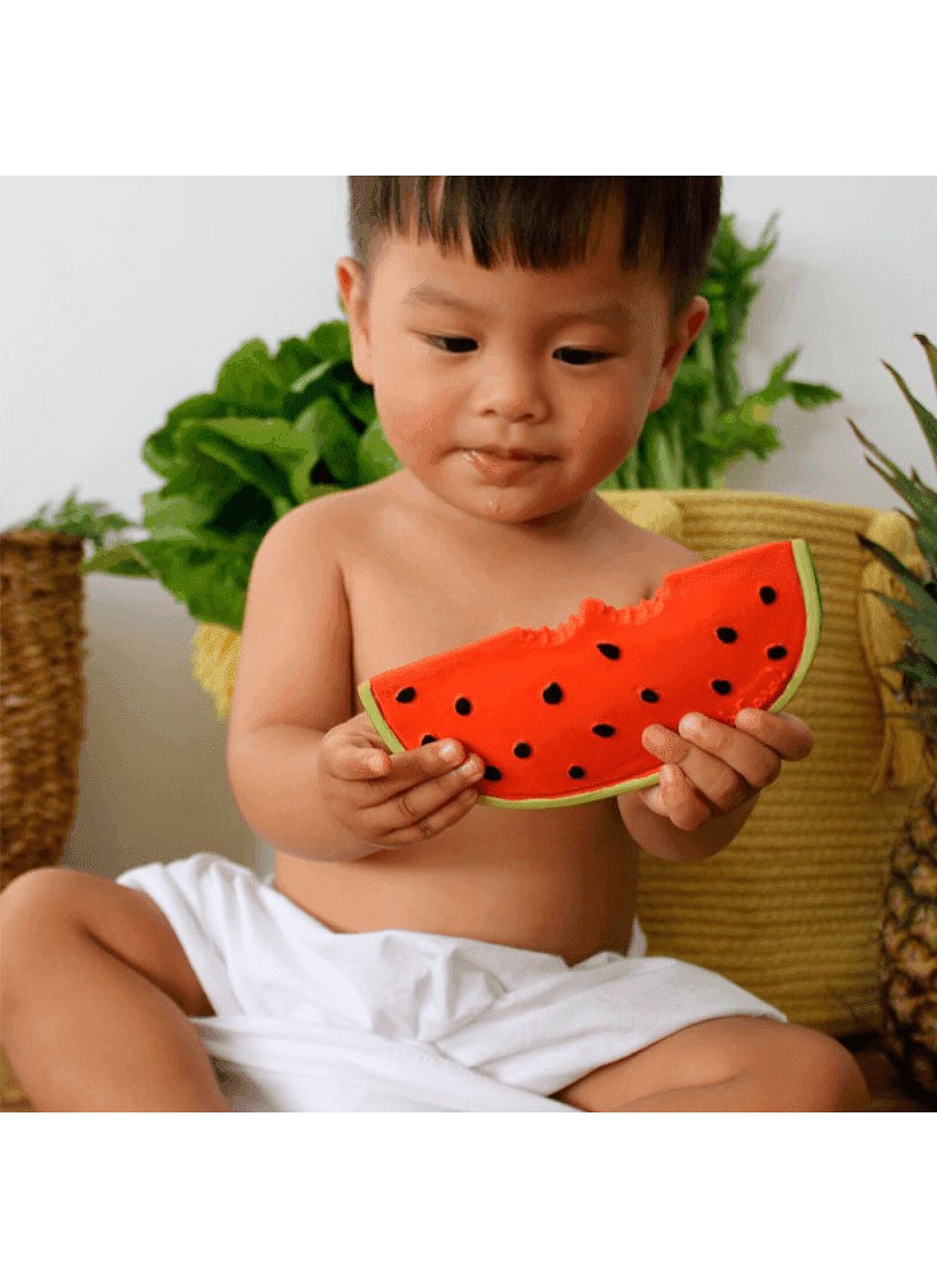 TEETHER WALLY THE WATERMELON