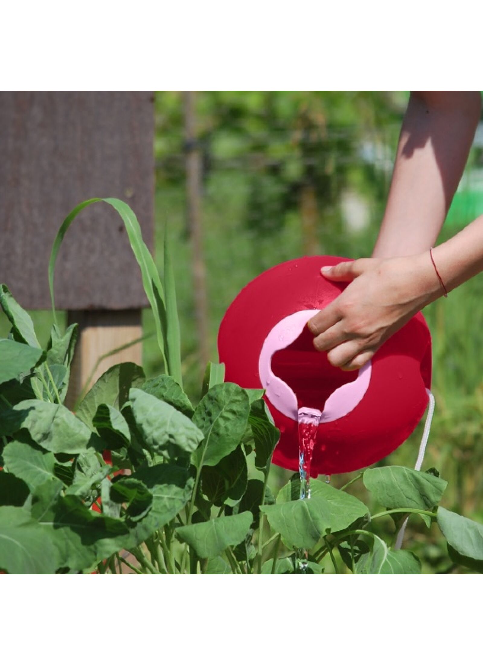 BUCKET BALLO RED-PINK