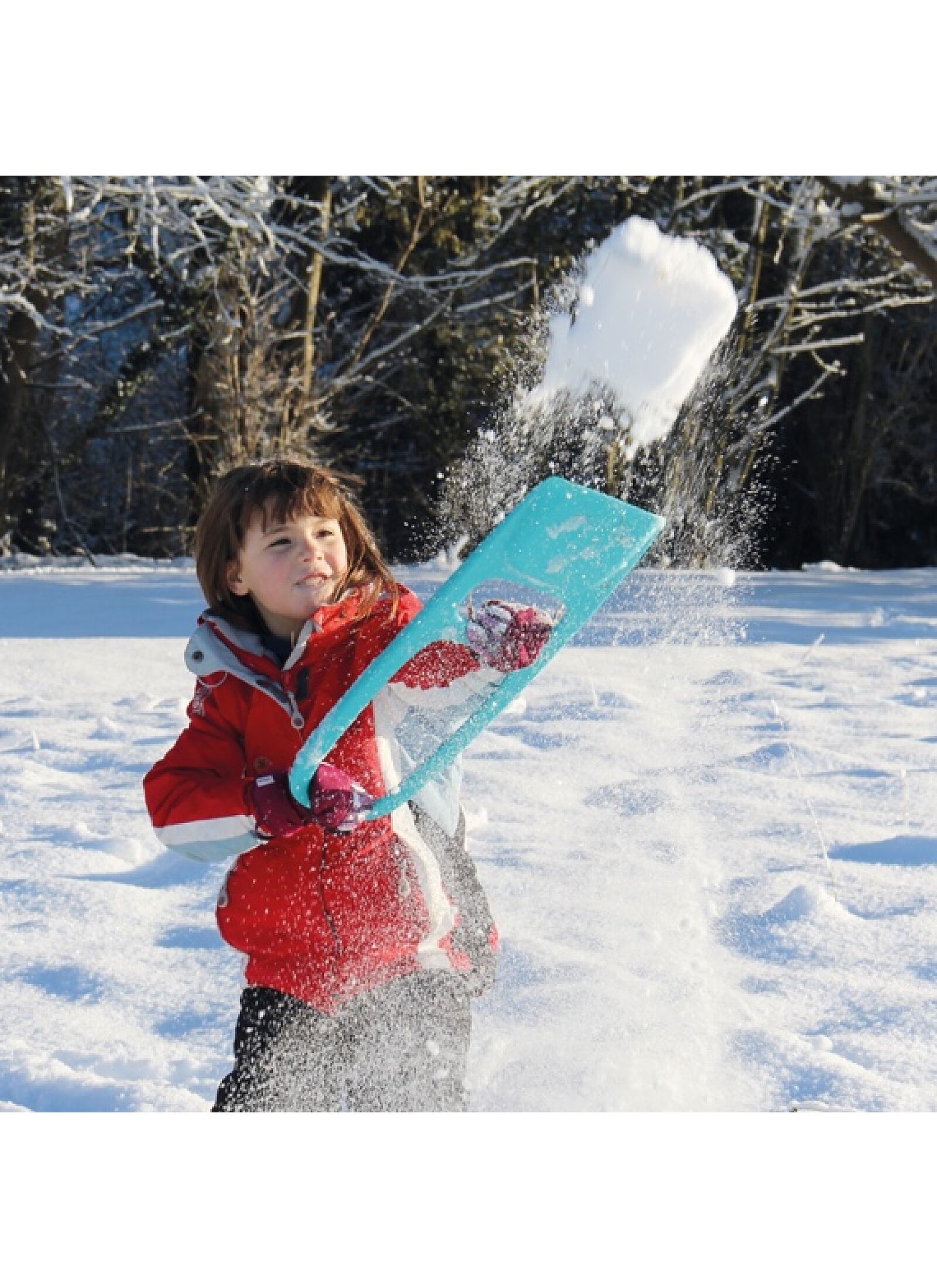 SHOVEL SCOPPI CHERRY
