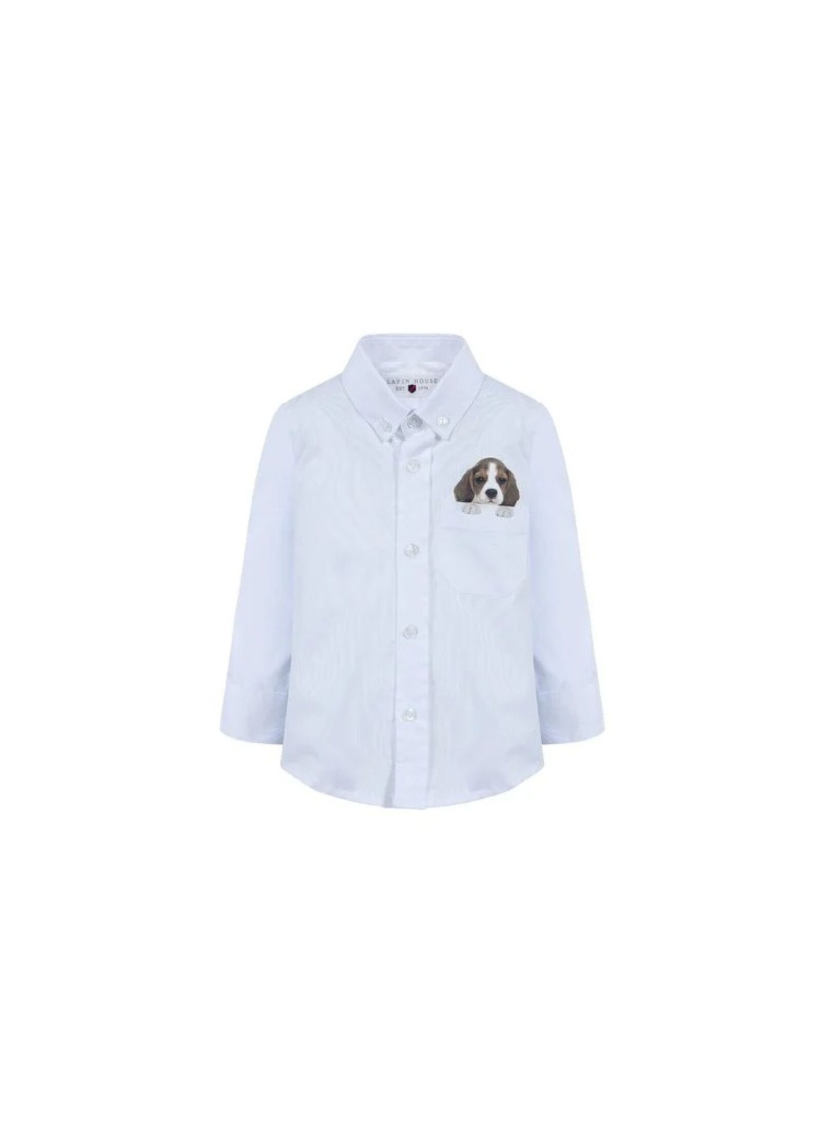 SHIRT DOG