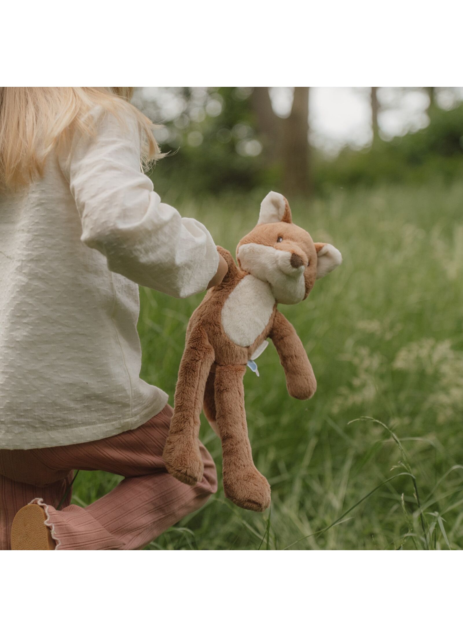 FOX FOREST FRIENDS