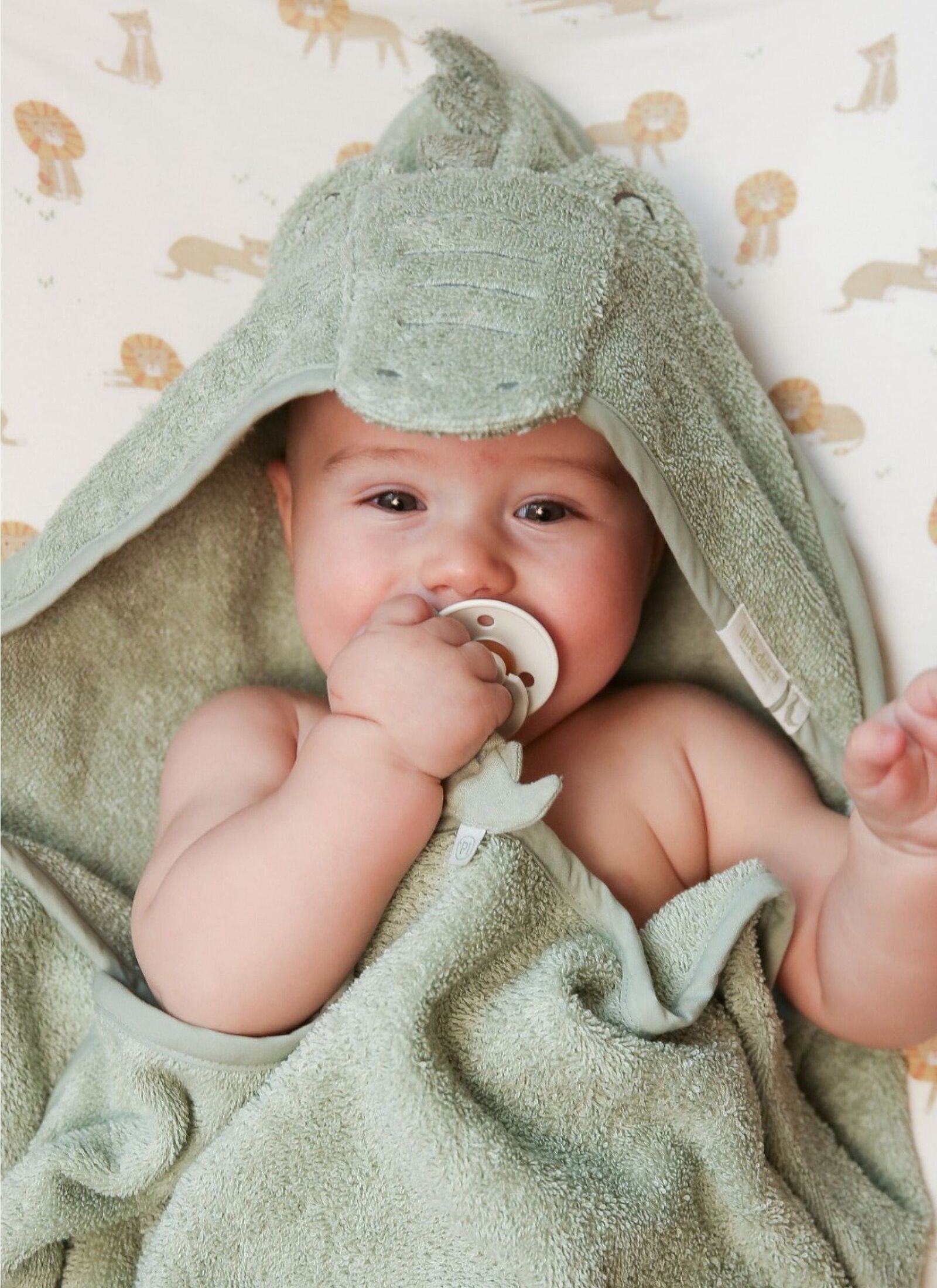 HOODED CROCODILE