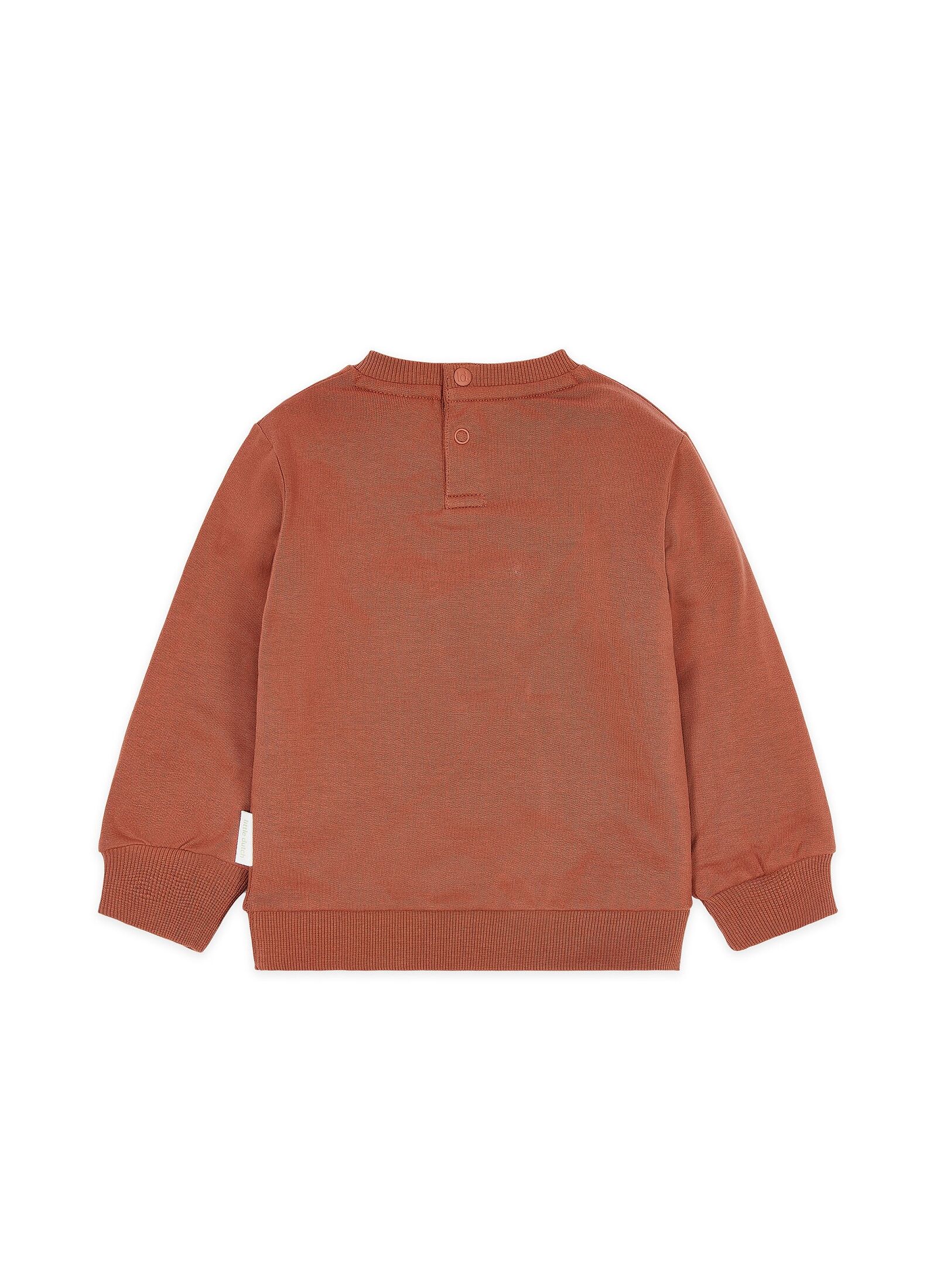 ORGANIC COTTON SWEATSHIRT DESERT RED