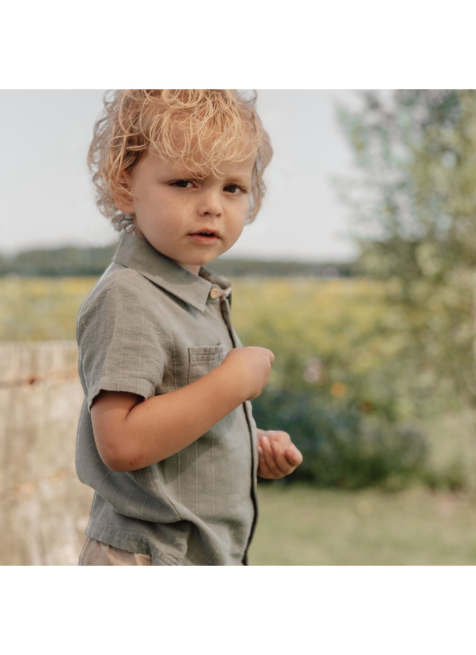SHIRT FOREST GREEN