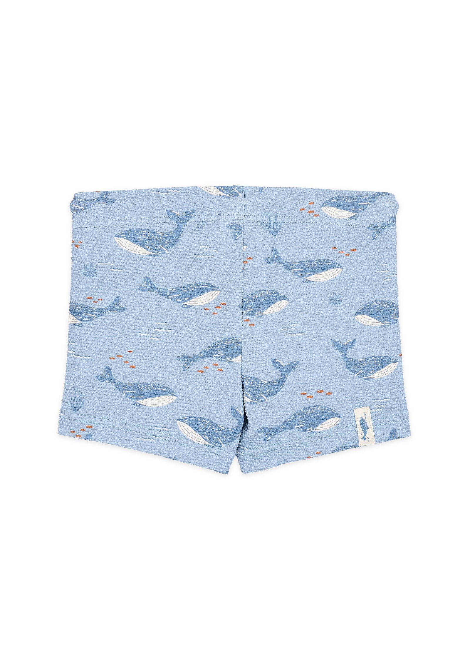 SWIM PANT OCEAN SPLASH
