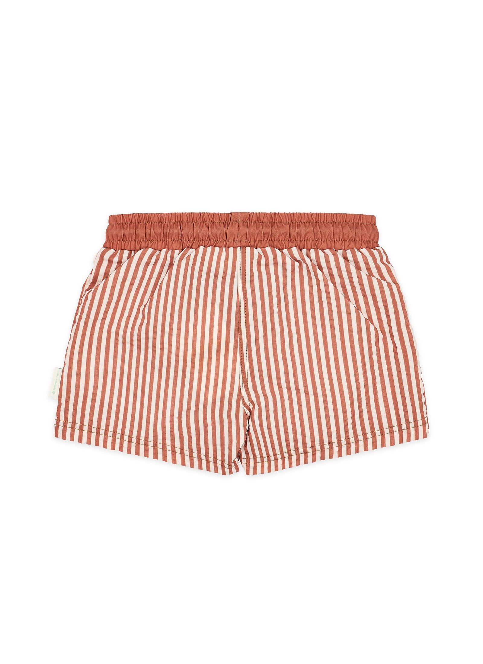 SWIM SHORTS OCEAN BROWN STRIPES