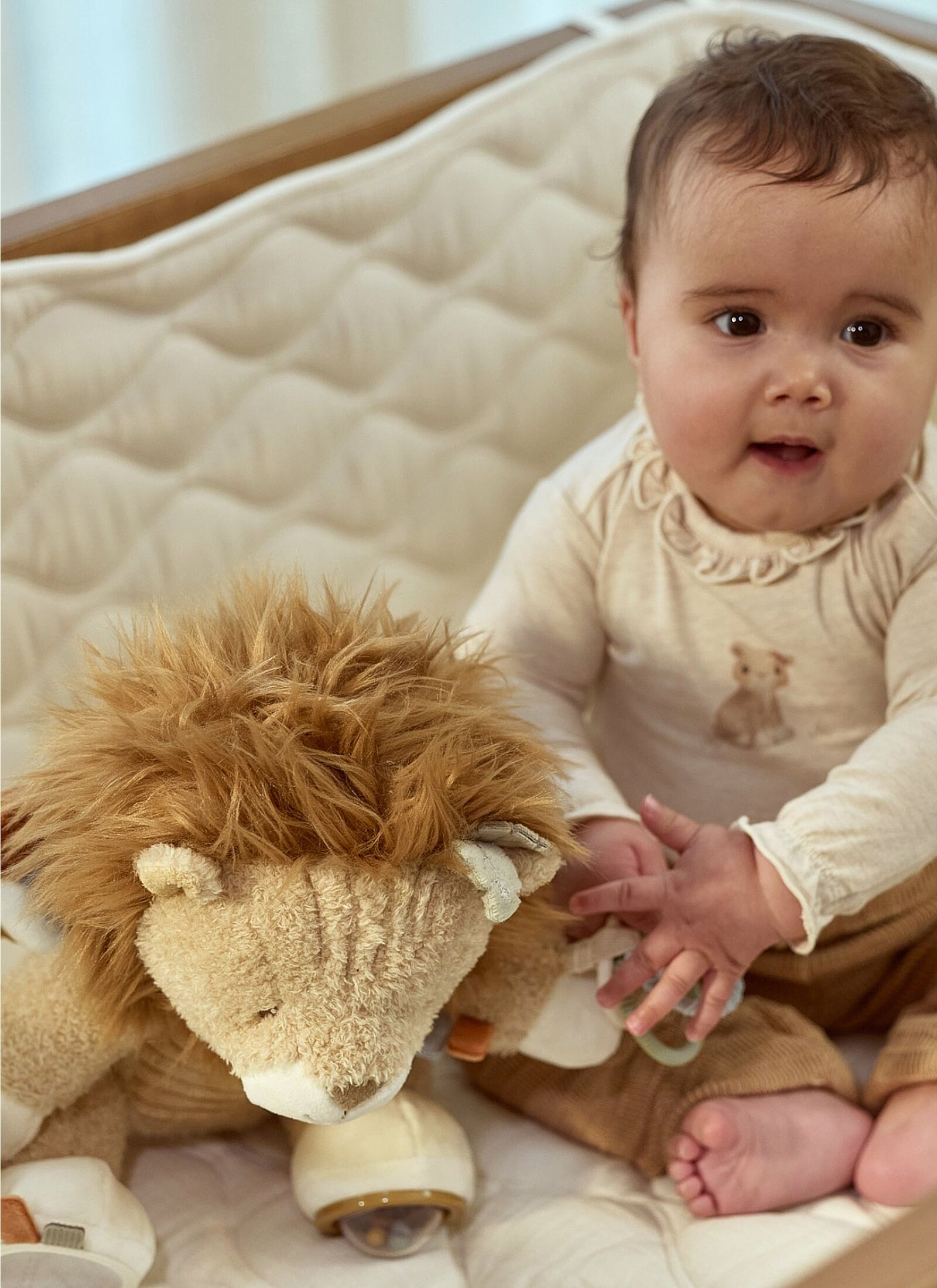 SOFT ACTIVITY TOY LION SAFARI FRIENDS
