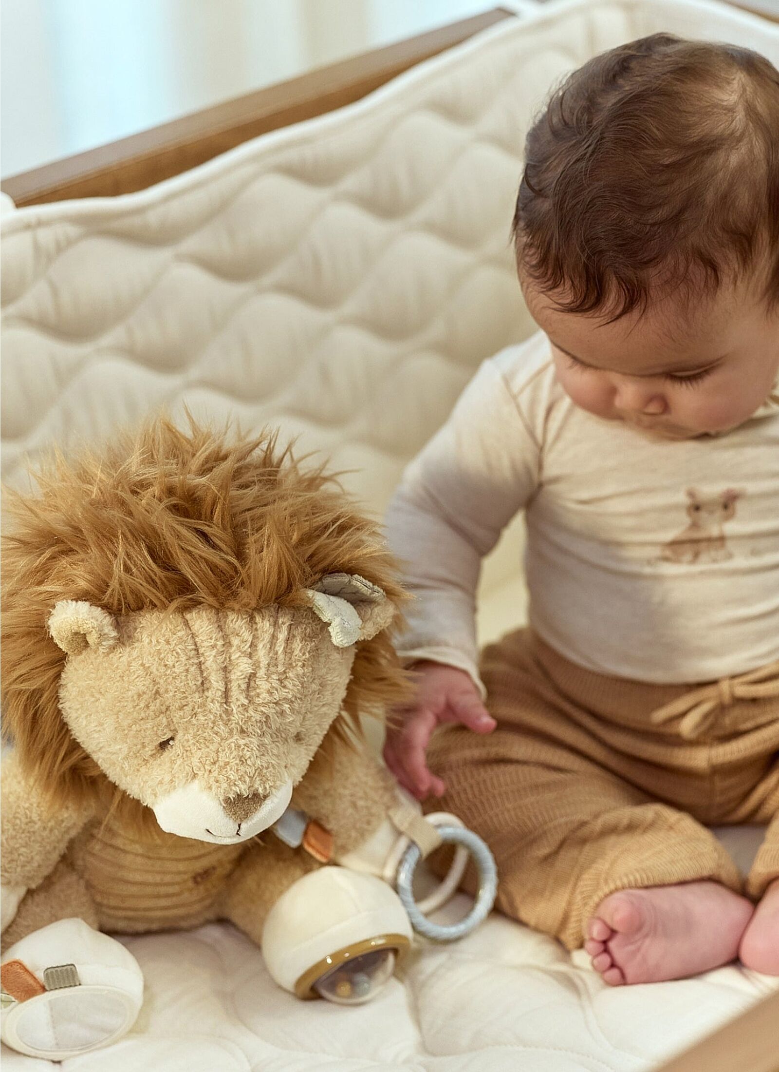 SOFT ACTIVITY TOY LION SAFARI FRIENDS