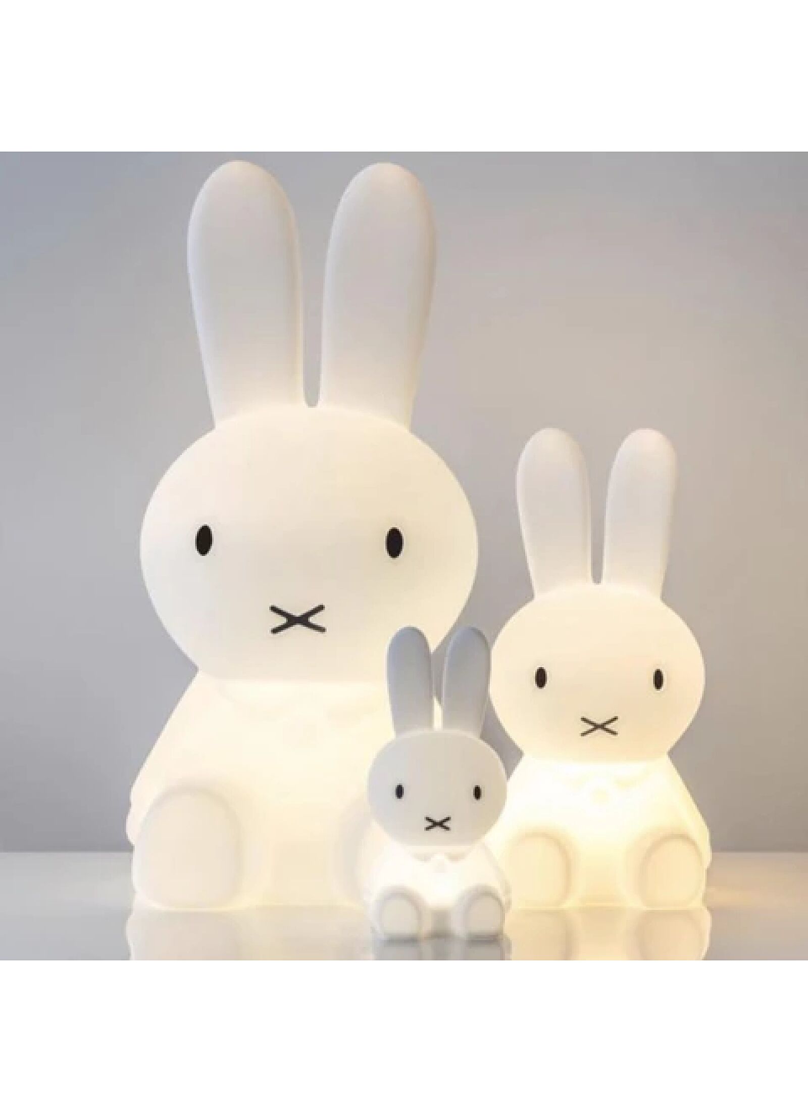 LED LIGHT MIFFY XL