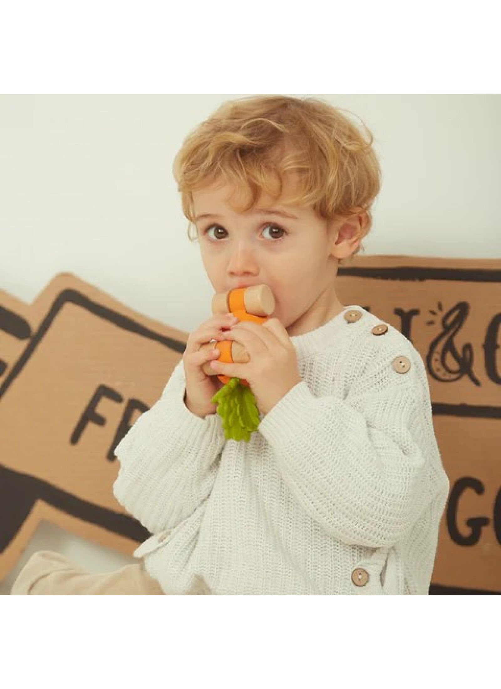 CAR-TEETHER CARROT