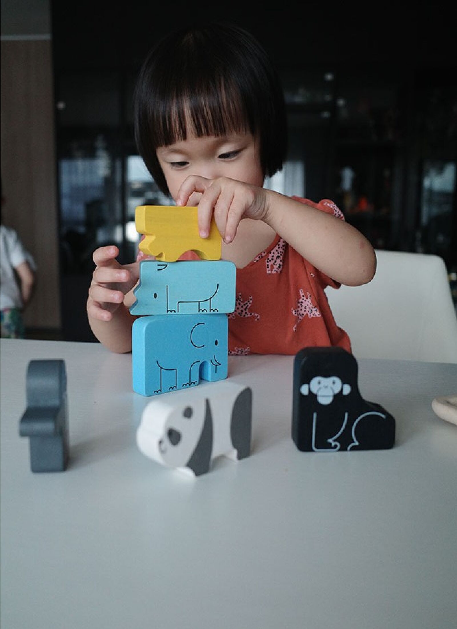 ANIMAL PUZZLE
