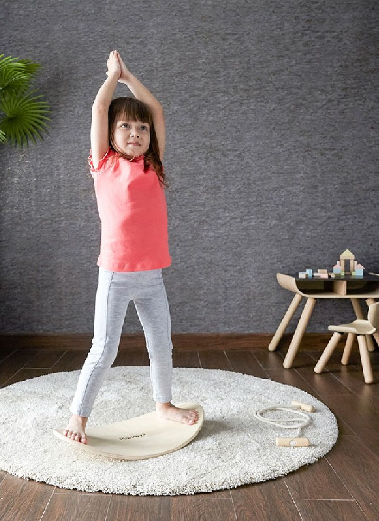BALANCE BOARD