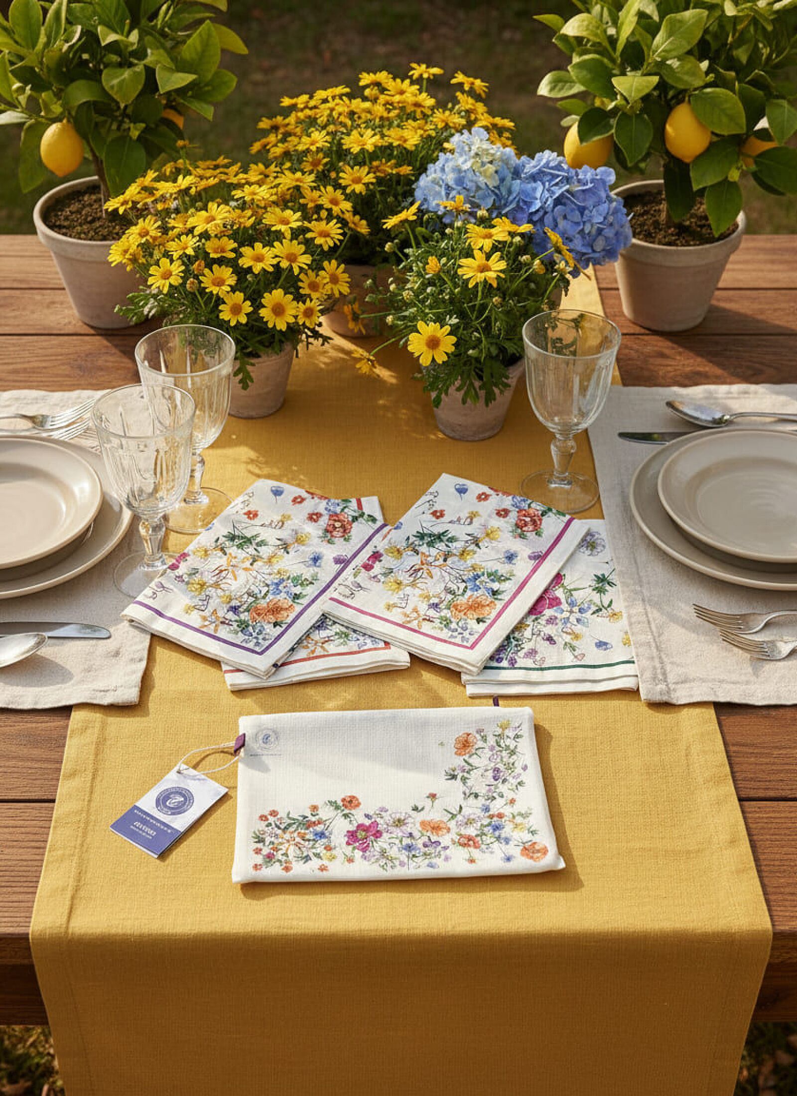 LINEN NAPKINS (4PCS) ANTEA