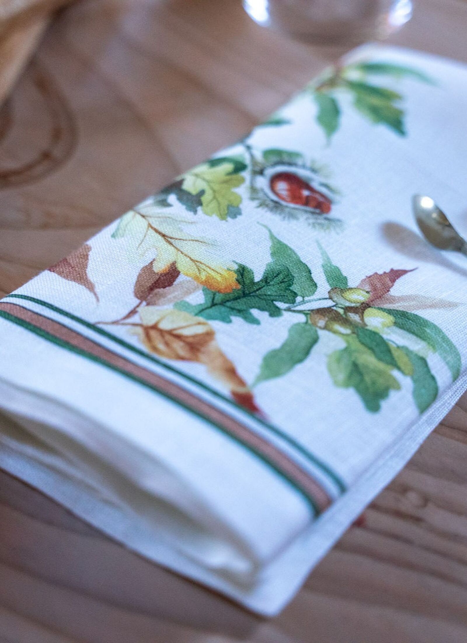 LINEN NAPKINS (4PCS) ARGENTARIO