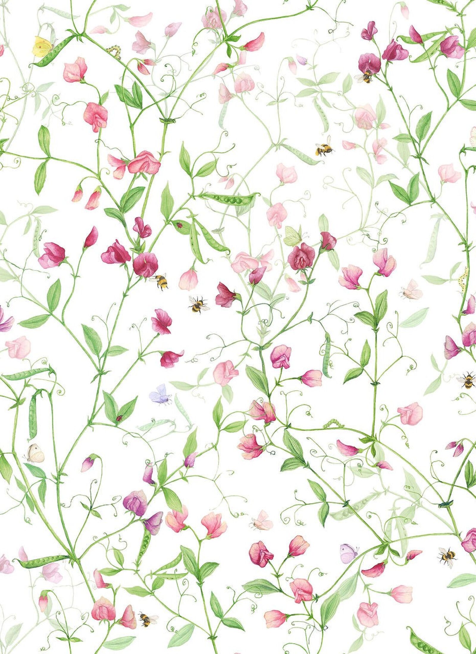 TABLECLOTH PETITS