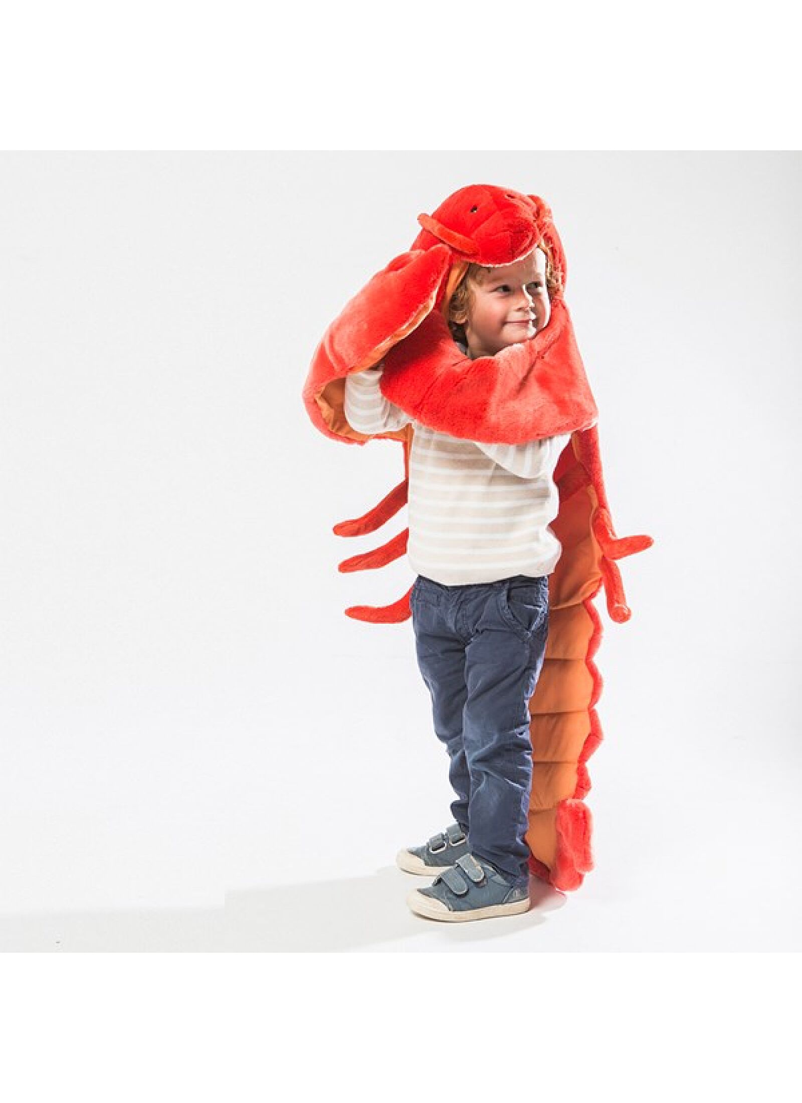 DISGUISE LOBSTER