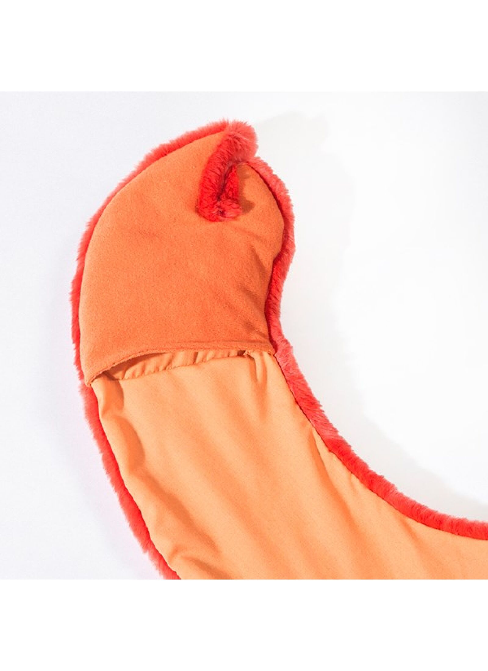 DISGUISE LOBSTER