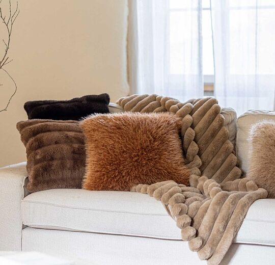Image - BLANKETS