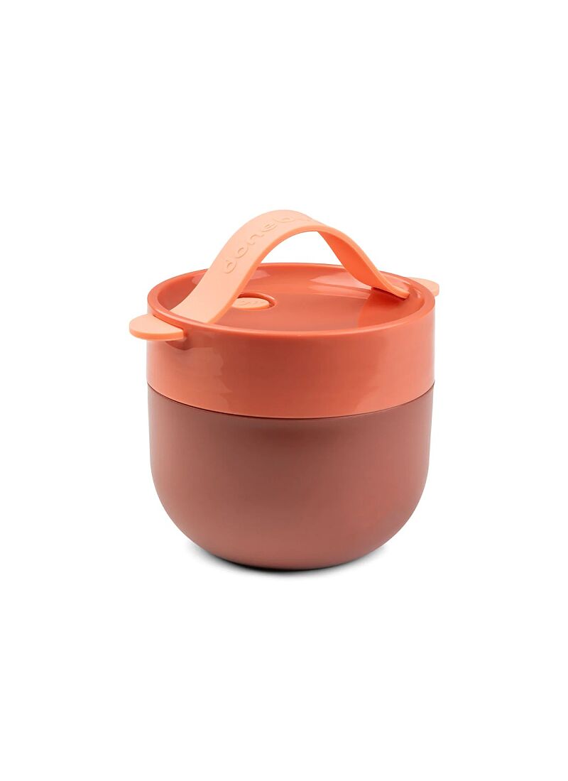 LUNCH BOX TO GO PAPAYA