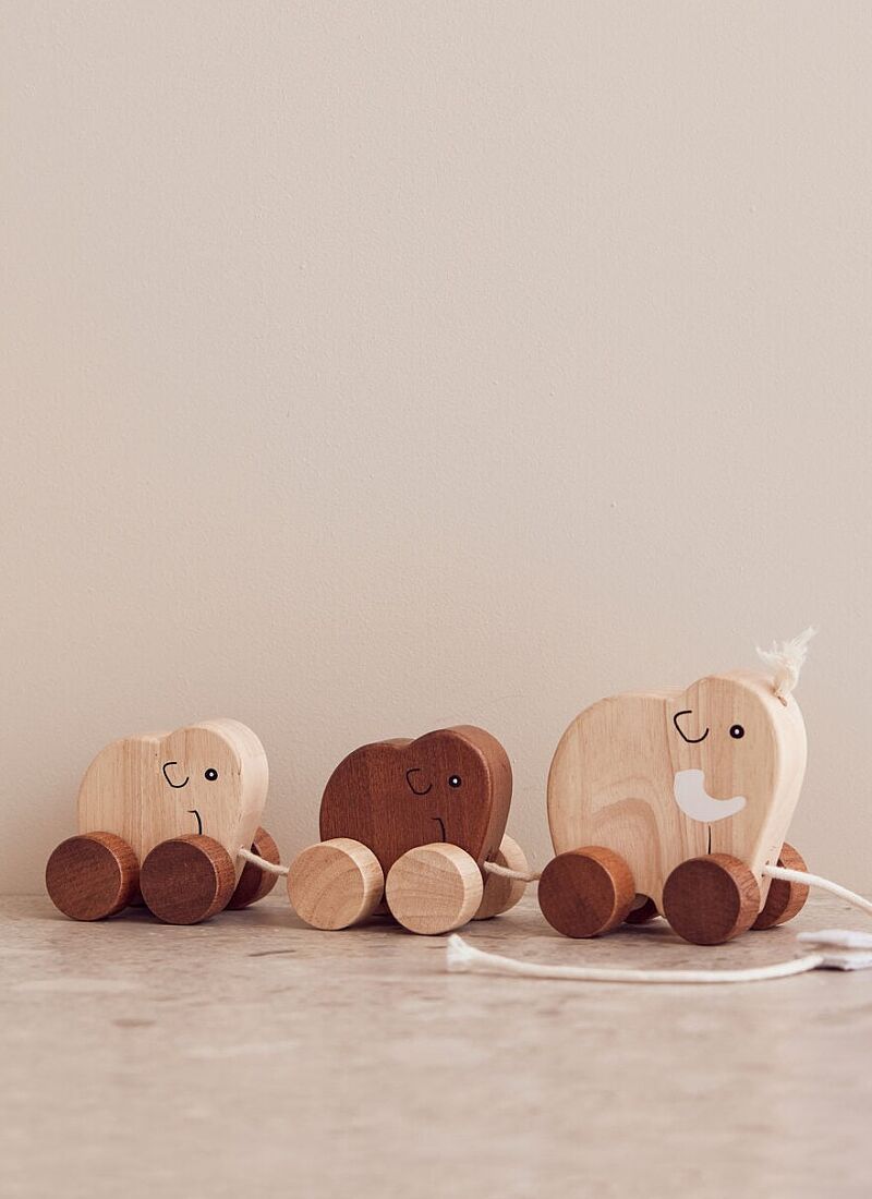 PULL ALONG MAMMOTH FAMILY