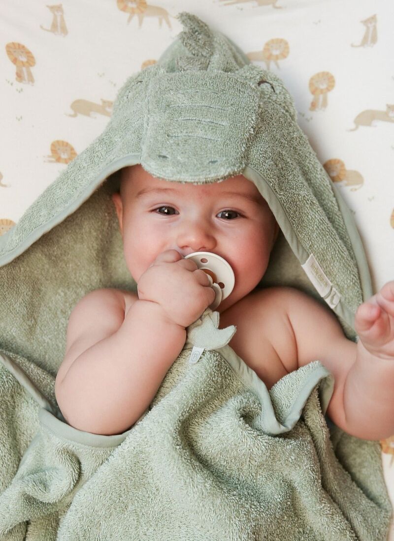 HOODED CROCODILE