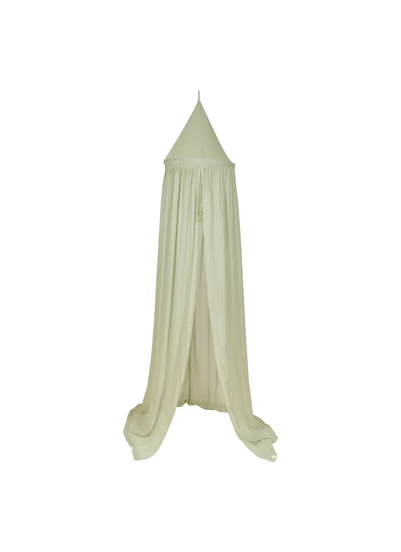 CANOPY SAGE