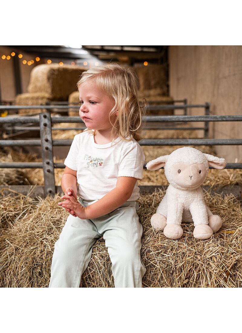SOFT TOY 25cm SHEEP
