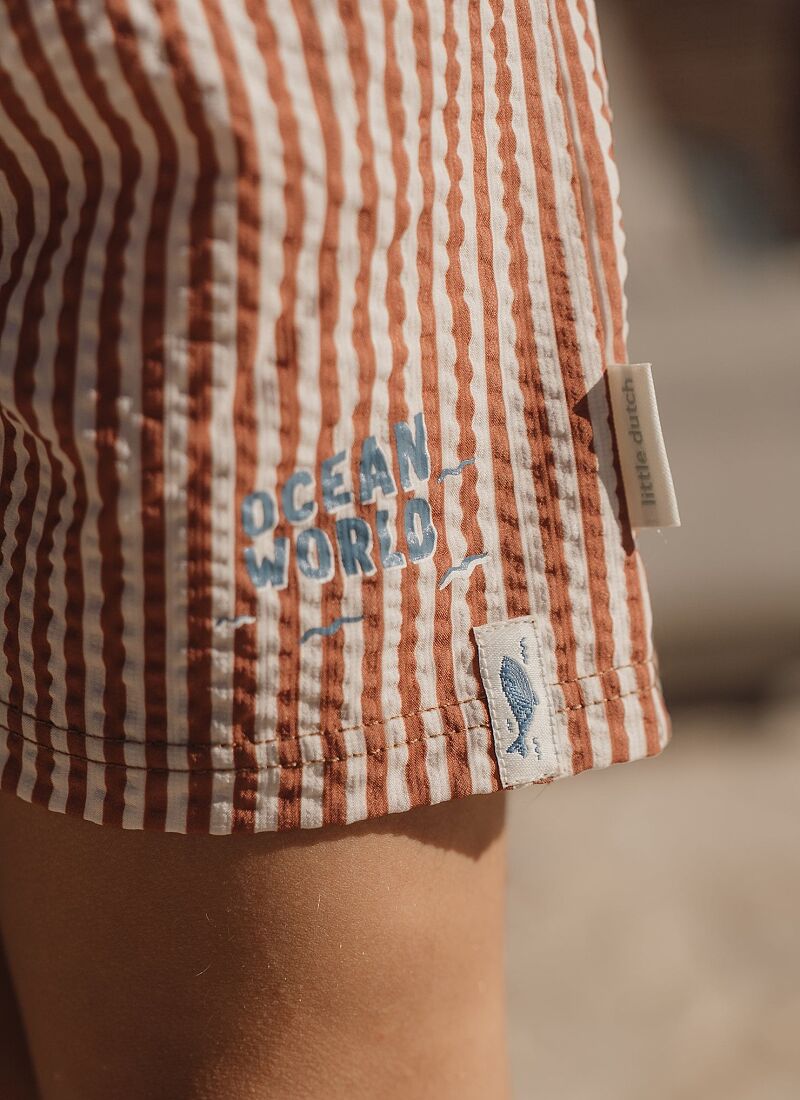 SWIM SHORTS OCEAN BROWN STRIPES