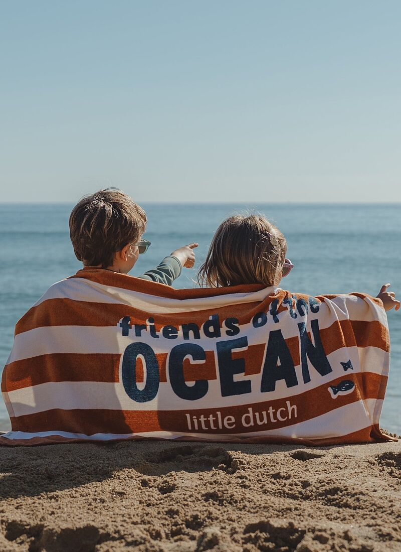CHILDREN'S BEACH TOWEL OCEAN WORLD BROWN STRIPE