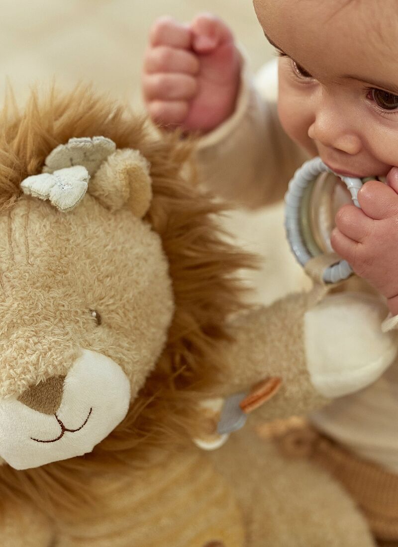 SOFT ACTIVITY TOY LION SAFARI FRIENDS