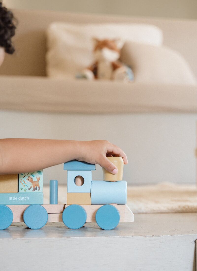 STACKING TRAIN FOREST FRIENDS
