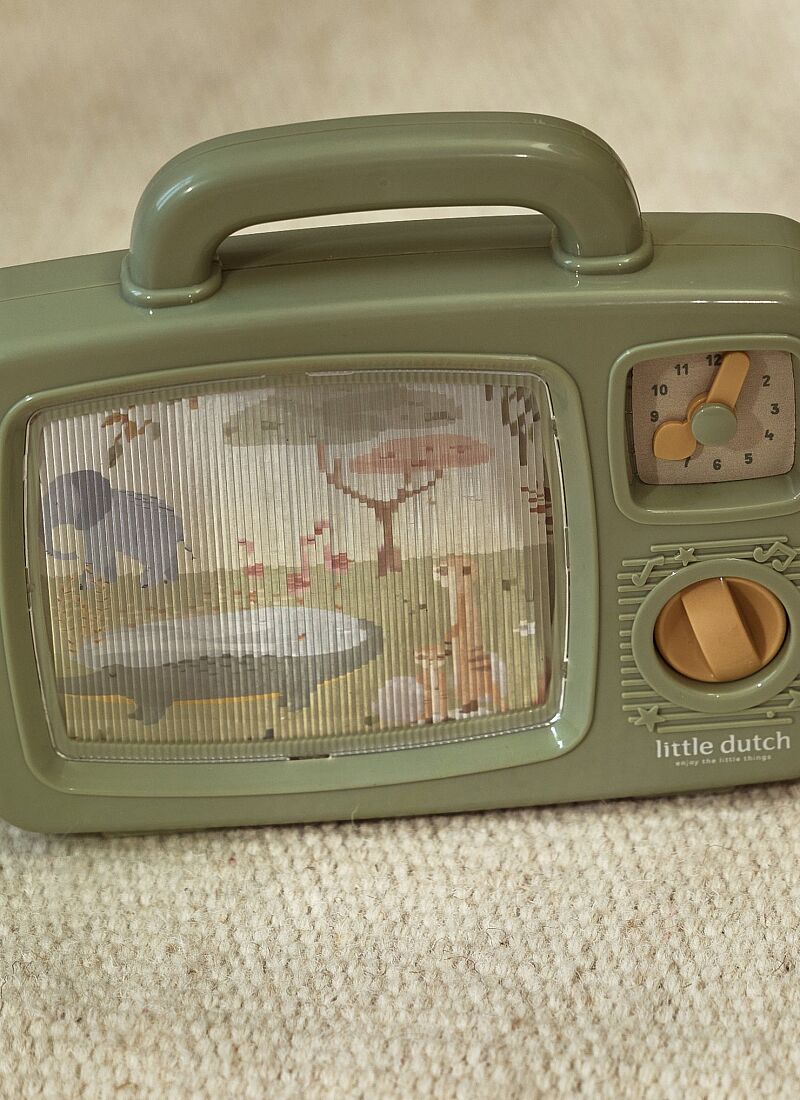 MUSIC TV SAFARI