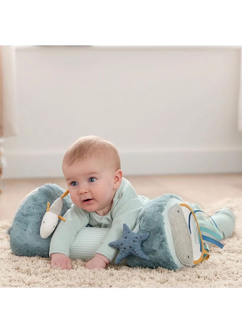 ACTIVITY TOY TUMMY TIME WTTW BLUE