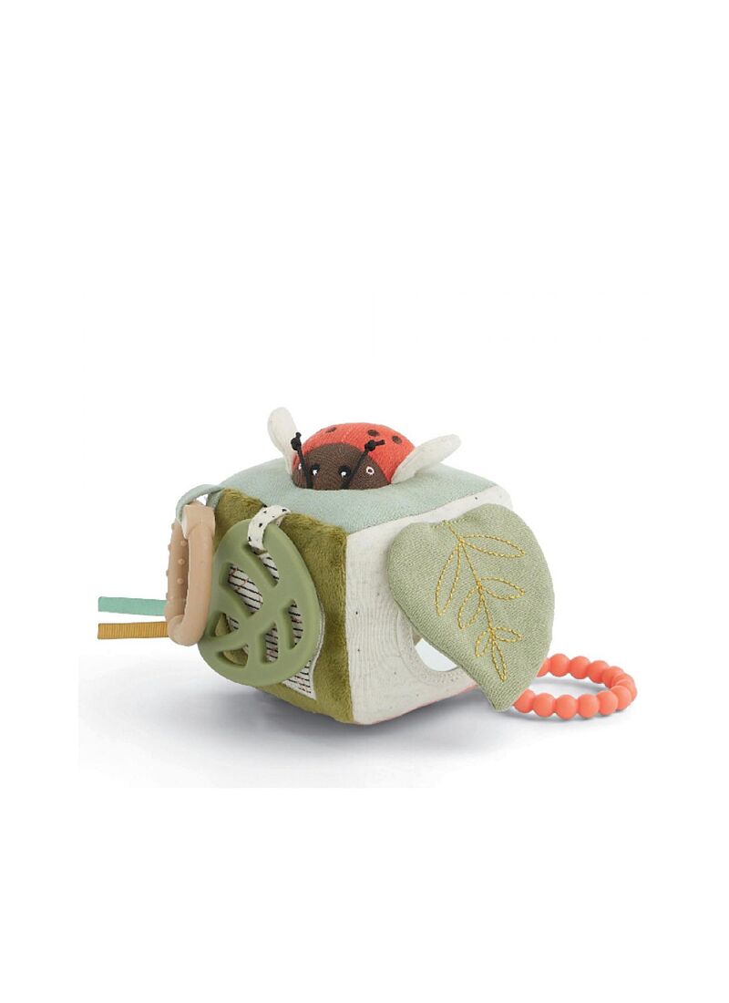 ACTIVITY CUBE MINI BORN TO BE WILD