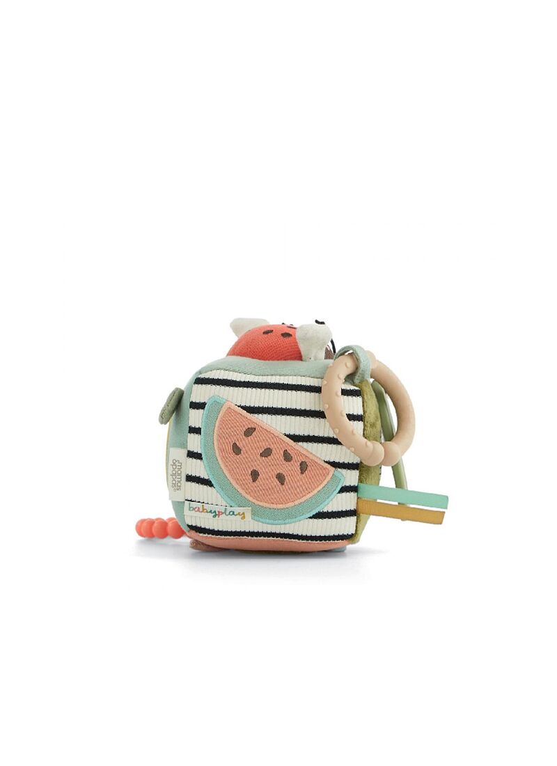 ACTIVITY CUBE MINI BORN TO BE WILD