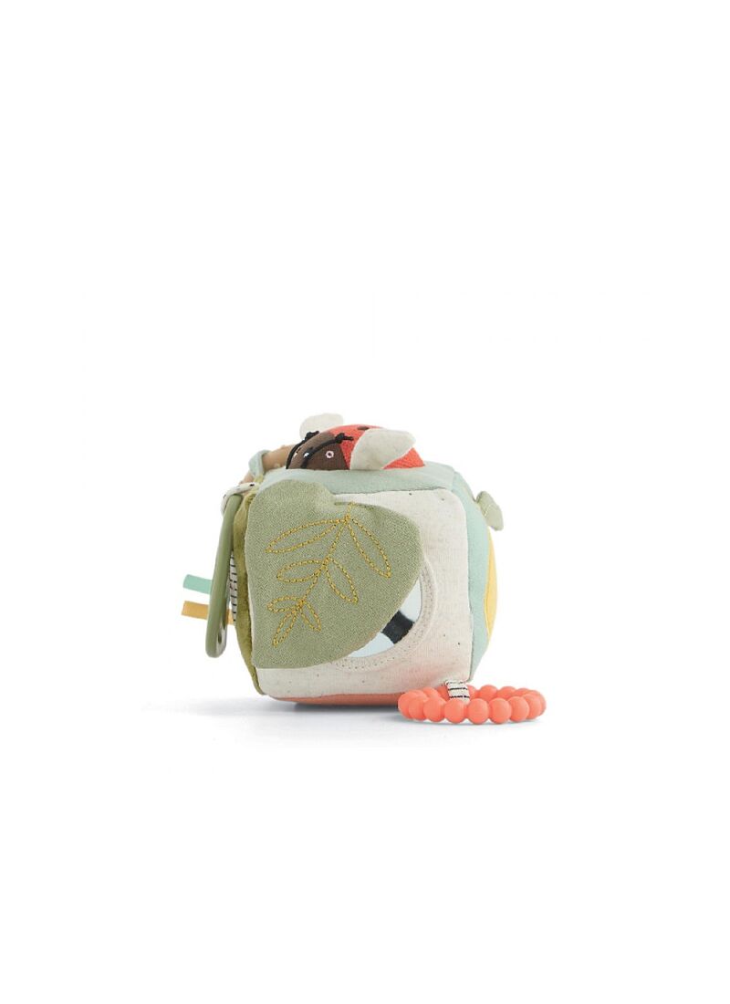 ACTIVITY CUBE MINI BORN TO BE WILD