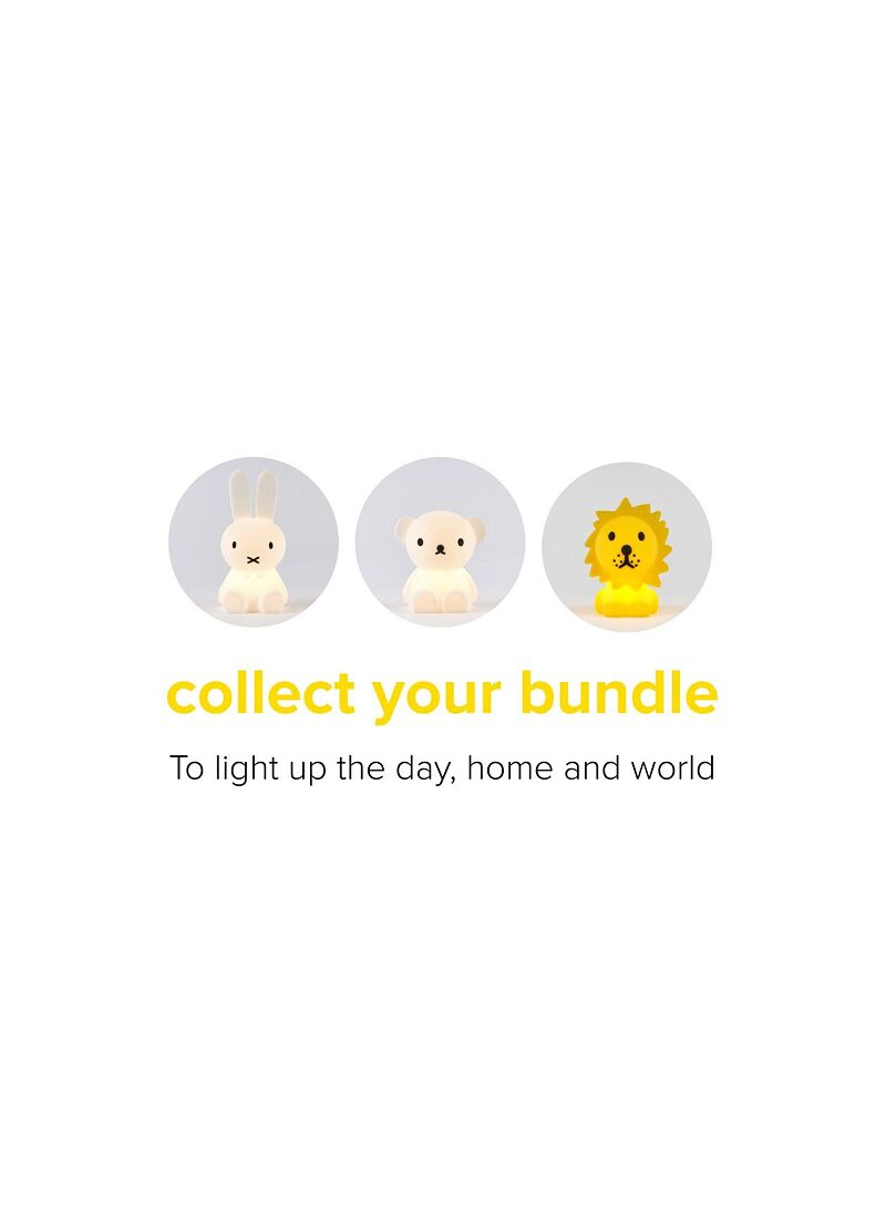 LION BUNDLE OF LIGHT