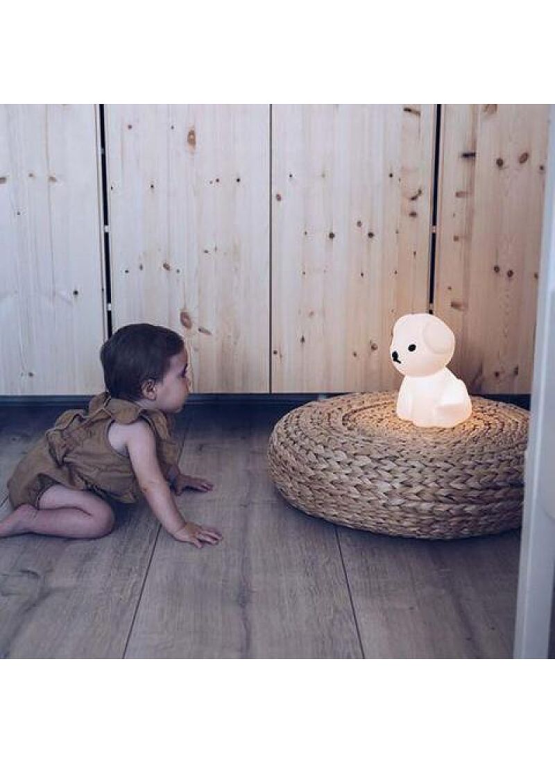 LED LIGHT SNUFFY FIRST