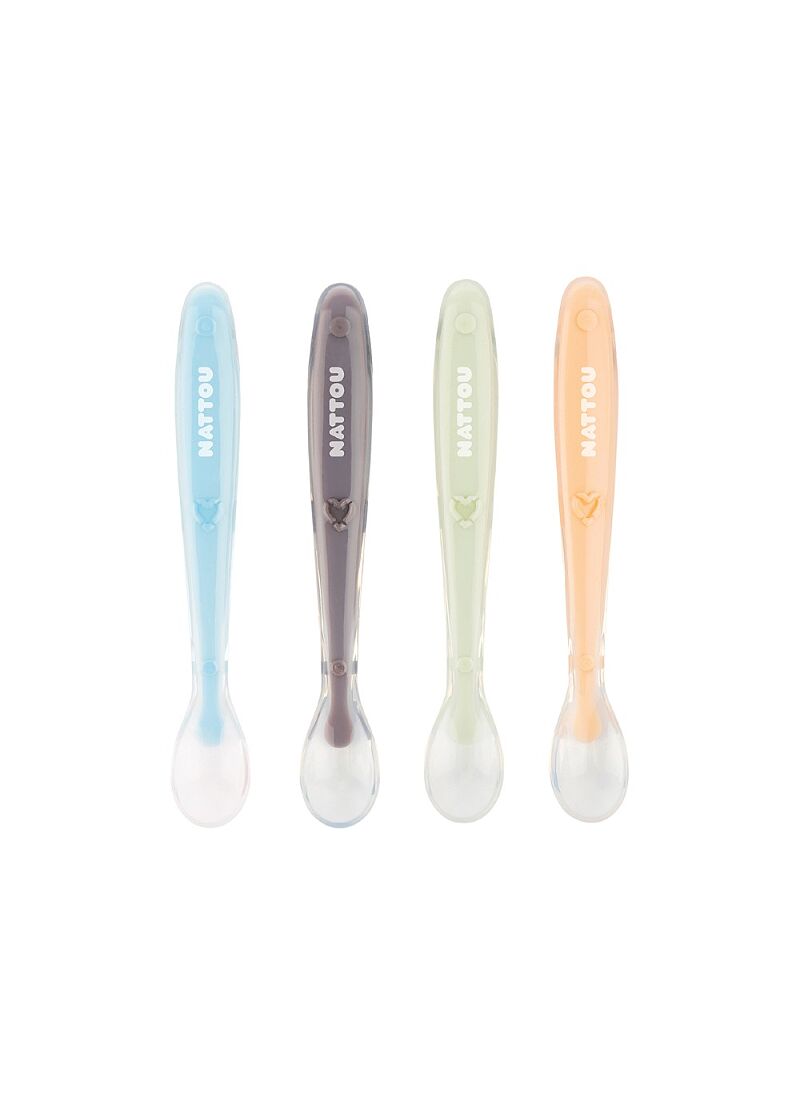 SPPOON SET (4PCS) COLOURFUL