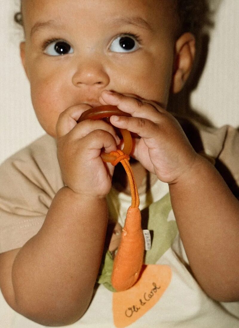 PACIFIER CLIP CARROT