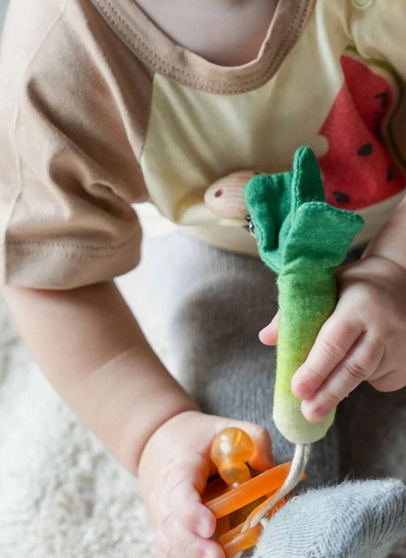 PACIFIER CLIP LEEK
