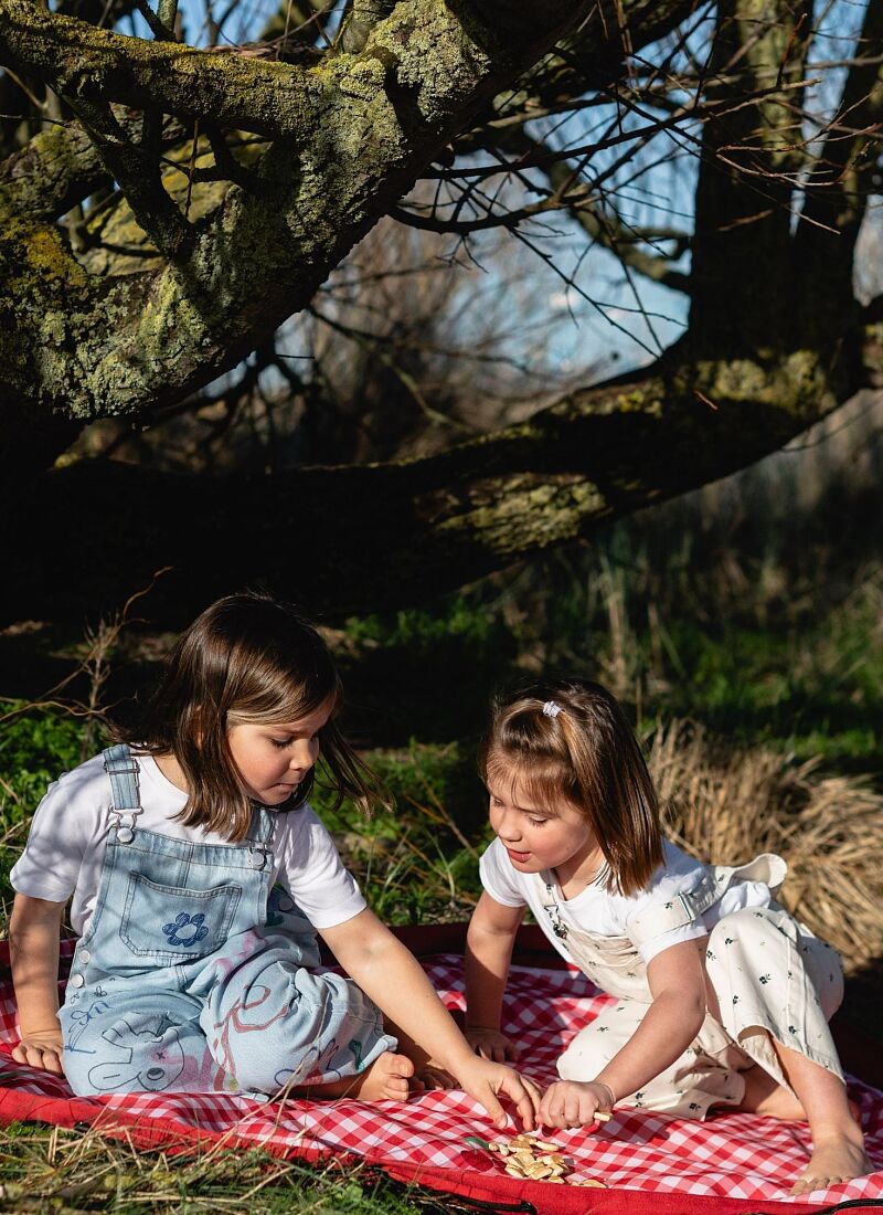 OUTDOOR PLAY MAT-STORAGE BAG PIC NIC