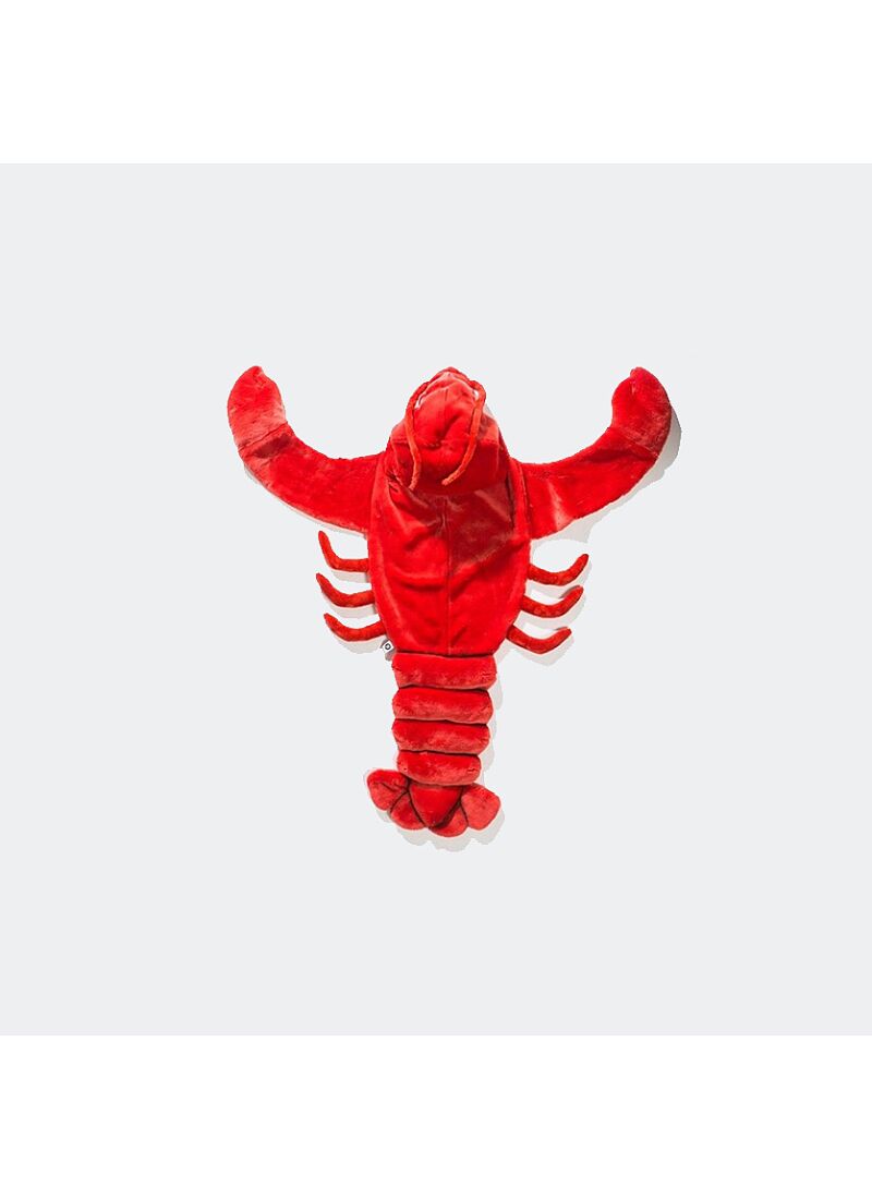 DISGUISE LOBSTER