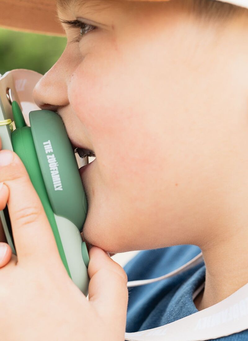 SET WALKIE TALKIE ZOO DINOSAUR