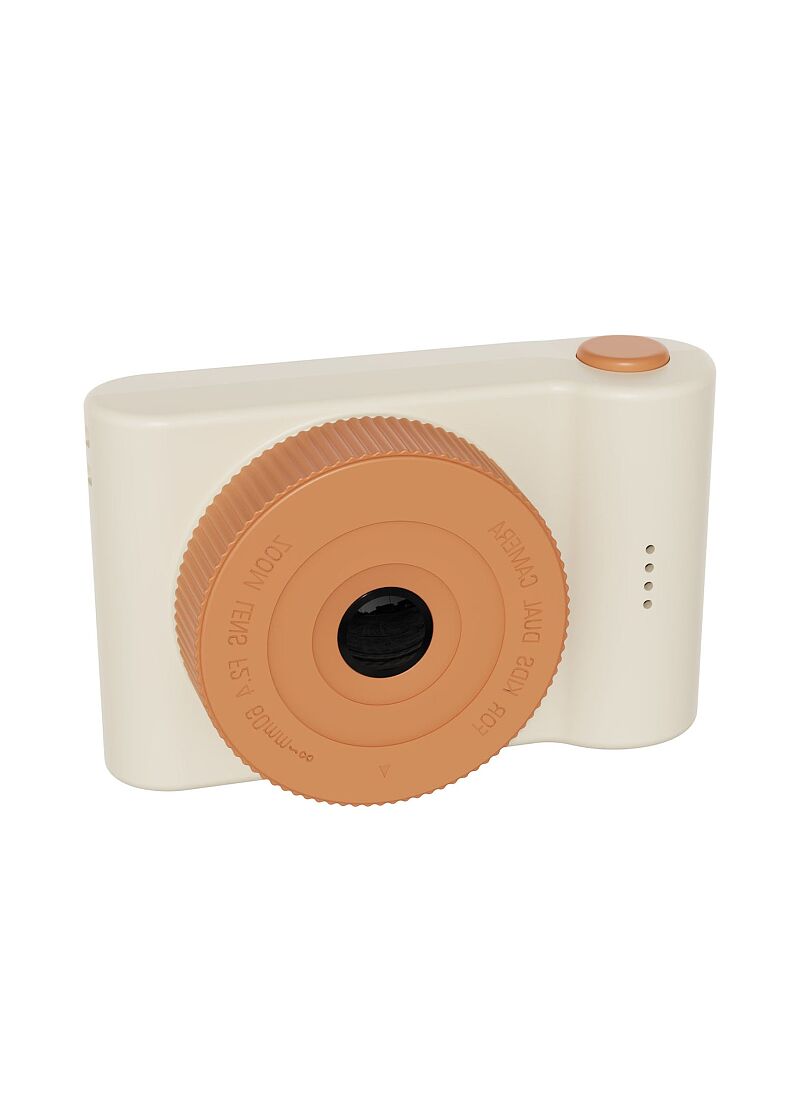 DIGITAL CAMERA URBAN ZOO LION