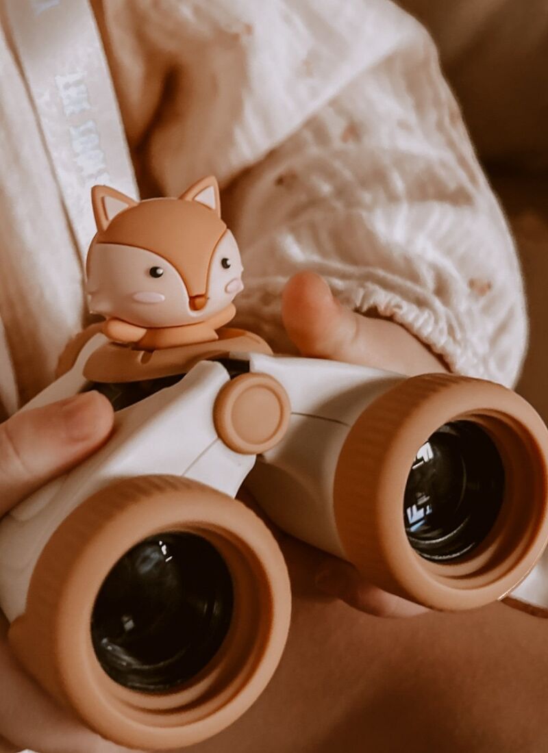 BINOCULARS ZOO EYES FOX