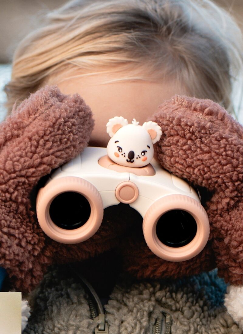 BINOCULARS ZOO EYES KOALA
