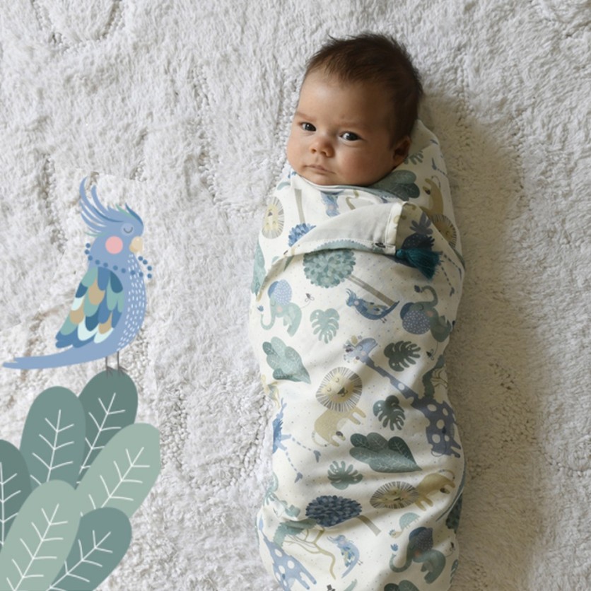 SWADDLE FRIENDS