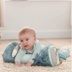 TUMMY TIME WTTW BLUE