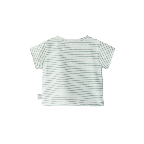 EMBROIDERED STRIPES GREEN